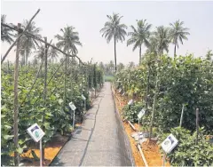  ??  ?? The company hosted its first Field Day at Kannamanga­la in Bengaluru, where dealers and farmers from across India were given the chance to explore a demonstrat­ion plot and see the varieties of crops launched.