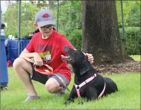  ?? Caitlan Butler/News-Times ?? Opt to Adopt: Ethan Smith pets Mystique, an elderly UCAPS dog. Mystique is currently available for adoption from UCAPS.