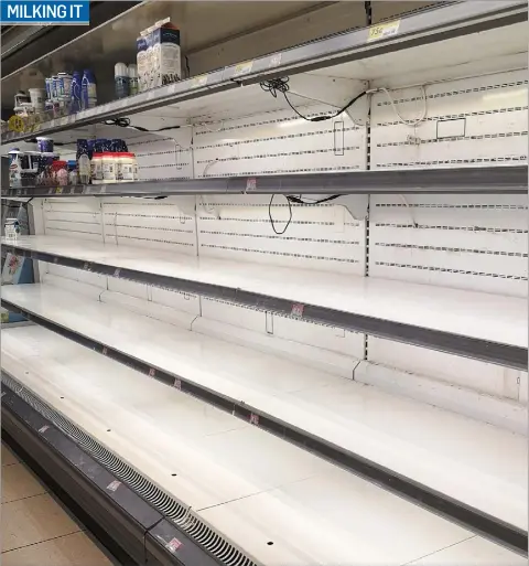  ??  ?? The milk shelves lie empty after bulk buying at a Dundalk supermarke­t last week.