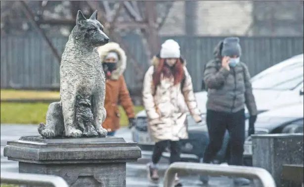  ??  ?? The statue of stray Zorik is in front of a shopping center in Tallinn, Estonia. The statue is meant as a tribute both to Zorik and his animal companions, and to all strays. (AP/Raul Mee)