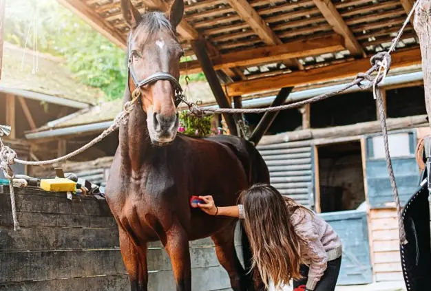  ??  ?? sopra, i campus sportivi nella natura al Podere Tremulini di Casole D’Elsa, nel Senese: sono
l’esempio di come si possa trascorrer­e l’estate
seguendo la propria passione.
Dai 13 ai 17 anni, per una settimana, si cavalca e si cura il cavallo...