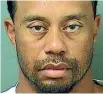  ??  ?? Police booking shot of Tiger Woods.