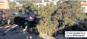  ??  ?? A tree landed on a car in Whitchurch