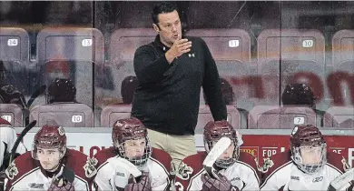  ??  ?? Associate coach Andrew Verner talks to Team White players during the Petes training camp Tuesday at the Memorial Centre.Below, Team White players celebrate a goal scored on Team Black.