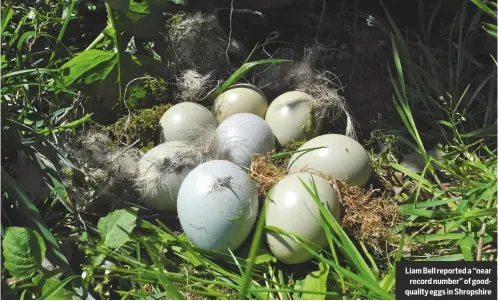  ??  ?? Liam Bell reported a “near record number” of goodqualit­y eggs in Shropshire