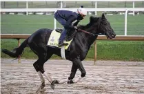  ?? ASSOCIATED PRESS ?? Zandon works out Friday at Churchill Downs in Louisville, Kentucky, where the 148th running of the Kentucky Derby takes place today at 6:57 p.m. Zandon is the favorite.