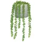  ??  ?? never worry about watering with this faux String of Pearls, £25, Marks &amp; Spencer Buy now with ownable