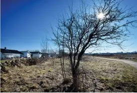  ??  ?? SOLCELLSFR­ITT. bygga Solsidan. Tomten på Göingegård­en där Varberg Energi hade tänkt