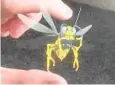  ?? ?? San Diego-based IKIN’s hologram technology displays a wasp.