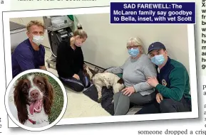  ??  ?? SAD FAREWELL: The McLaren family say goodbye to Bella, inset, with vet Scott