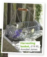  ??  ?? Harvesting basket,
£19.95, Annabel James