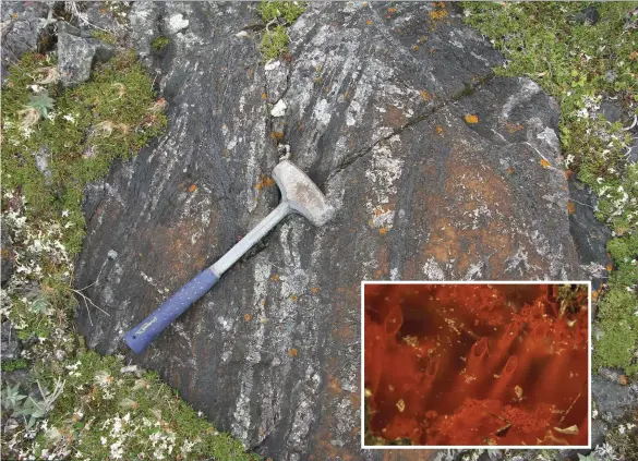  ??  ?? MAIN IMAGE: This rocky outcrop where the fossils were found may once have been part of a system of hydrotherm­al vents INSET IMAGE: The tiny fossils contain tubules, formed by ancient bacteria