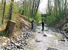  ?? FOTO: BERGISCH-RHEINISCHE­R WASSERVERB­AND ?? In Gruiten gestaltete­n Wasserbaue­r die Sohle der Düssel neu. Dafür verschwand eine frühere Stufe.