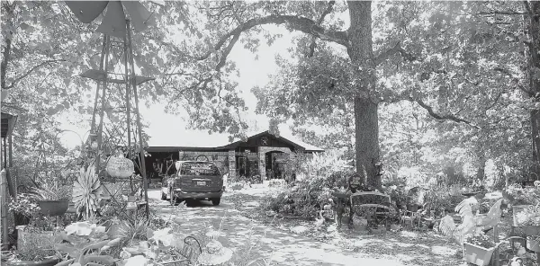  ?? Staff photos by Neil Abeles ?? ■ The conclusion of Dogwood Trail Street in Atlanta may be a dead-end street, but Midge Farmer’s yard is just starting to come alive.