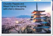  ??  ?? Chureito Pagoda and Mount Fuji in the spring with cherry blossoms