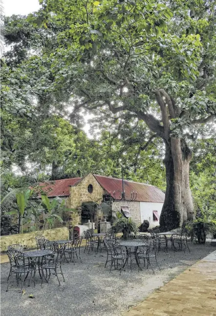  ?? Photos by Samantha Feuss / Tribune News Service ?? The gardens and house of St. Nicholas Abbey in Barbados.