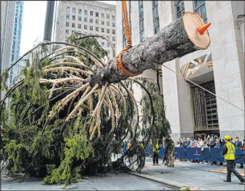  ?? Craig Ruttle The Associated Press ?? Visitors watch as the 2022 Rockefelle­r Center Christmas tree is raised from a trailer Saturday following its arrival at Rockefelle­r Plaza in New York.