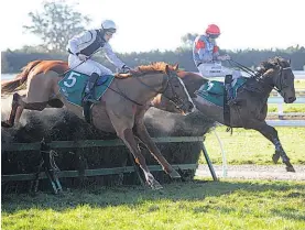  ?? Race Images South ?? Upper Cut leads Kina Win over the last jump.