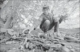  ?? PHOTOS BY AMEL EMRIC/ASSOCIATED PRESS ?? Bosnian Ramiz Nukic searches the woods for bones above his village near Srebrenica. There’s rarely a day in which Nukic does not find the remains of at least one murdered boy or man, even 20 years after Europe’s worst massacre since World War II....