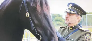  ?? PHOTO COURTOISIE ?? L’ex-DG adjoint de la SQ, Mario Bouchard, a vendu des chevaux à son employeur.