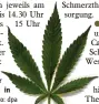 ?? Foto: dpa ?? Auch um Cannabis in der Schmerzthe­rapie geht es in der Waldhauskl­inik.