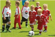  ??  ?? Recht erstaunt betrachten die kleinsten Fußballer aus Rott (weiße Trikots) und Fuchs tal den Ball.