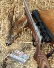  ?? ?? Half an hour after getting into position, Bruce Potts harvested a roebuck with the LA102