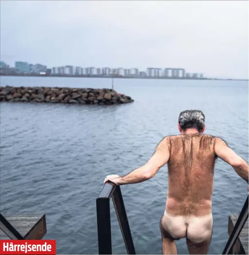  ??  ?? Hårrejsend­ePensionis­ten Frank Nilsson, der er et af de over 2200 medlemmer af Svanemølle­bugtens Vinterbade­laug, hopper i perioder i det iskolde vand i Københavns Havn hver dag.