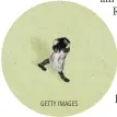  ?? GETTY IMAGES ??