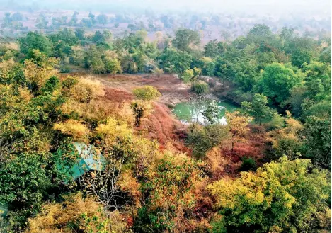  ??  ?? Many of the accommodat­ions at the property look out to the wilderness and waterholes.