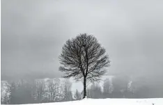  ?? Foto: Sven Hoppe, dpa ?? So schön melancholi­sch kann der Winter in Spitzingse­e in Bayern sein. Warm einge packt lassen sich auch Nebel und Schnee genießen.