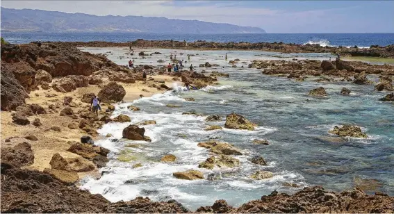  ?? Brigitte Merz / LOOK-foto / Getty Images ?? In protected areas along Oahu’s North Shore, snorkelers can see green turtles swimming in and out of caves, as well as a variety of fish native to the islands.