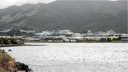  ?? PHOTO: JARED NICOLL ?? Looking across Porirua Harbour toward Wi Neera Reserve.