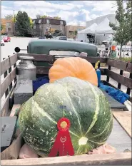  ??  ?? Gourds grown by John Sailor and Randy Oyster weighing 243 pounds, foreground, and 219 pounds took second and third place prizes in the pumpkin contest.