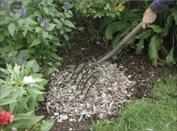  ?? PHOTOS BY LEE REICH VIA THE ASSOCAITED PRESS ?? Mulch and other bulky organic materials such as wood chips are low in nutrients, but over time will decompose to boost soil fertility. In the meantime, they help soil retain air and moisture and promote beneficial organisms.