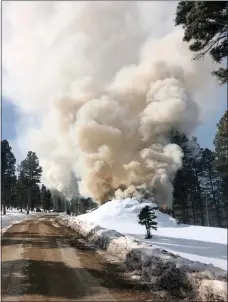  ?? COURTESY PHOTO ?? An ignited pile from the Willow Piles Prescribed Fire project in January 2022 is pictured along Forest Road 712 in the Tres Piedras Ranger District of the Carson National Forest. Following a nationwide review that was conducted last year to improve U.S. Forest Service controlled burn practices, the Carson National Forest will resume prescribed fire operations in the Tres Piedras Ranger District as early as Feb. 7.