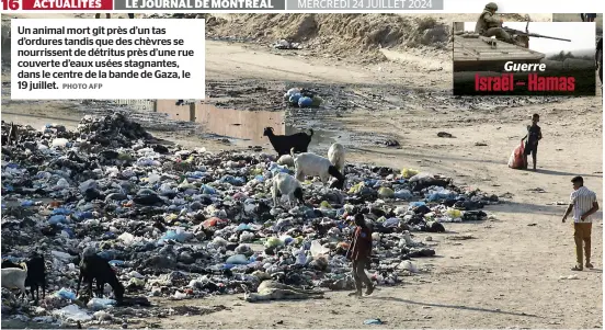  ?? PHOTO AFP ?? Un animal mort gît près d’un tas d’ordures tandis que des chèvres se nourrissen­t de détritus près d’une rue couverte d’eaux usées stagnantes, dans le centre de la bande de Gaza, le 19 juillet.