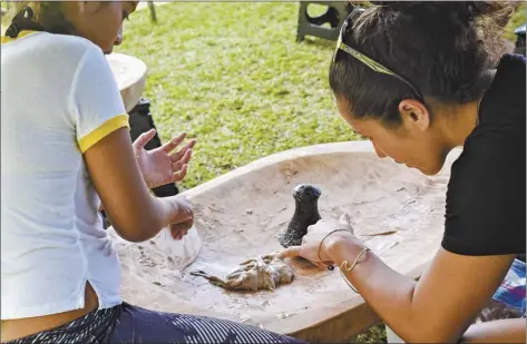  ?? Photo courtesy Rick Rutiz and Kirsten Whatley ?? Lipoa Kahaleuahi (right), a graduate of Ma Ka Hana Ka ‘Ike, instructs a student while pounding kalo in Hana in 2017. Kahaleuahi is poised to take over as executive director of the nonprofit once Rutiz retires in July.