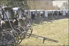  ??  ?? Amish buggies are parked at a home along the New Holland Road south of New Holland for a wedding celebratio­n.
(LNP LancasterO­nline/Chris Knight)