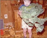  ?? COURTESY OF MARK CAPPS ?? Mark Capps of Straight From the Backyard Farm is seen at age 4 with one of his first homegrown cabbages.