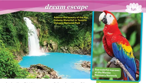  ??  ?? Admire the beauty of the Rio Celeste Waterfall in Tenorio Volcano National Park See colorful macaws at the Macaw Recovery Network