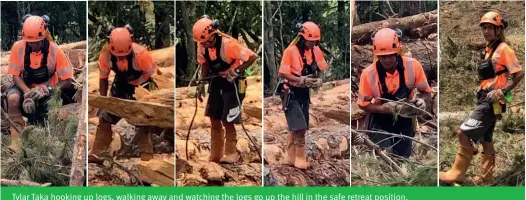  ??  ?? Tylar Taka hooking up logs, walking away and watching the logs go up the hill in the safe retreat position.