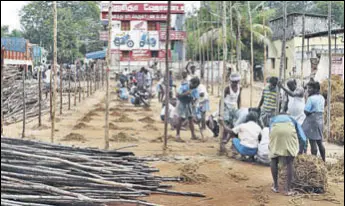  ?? MOSES ABHISHEK/HT PHOTO ?? Workers erect stands for spectators before Jallikattu.