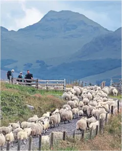  ??  ?? The EU convergenc­e money was allocated to the UK to make up for the low per hectare subsidy support paid to farmers in Scotland. Picture: Getty.