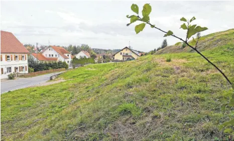  ?? FOTO: BERND BAUR ?? Stehen in der Hochdorfer Straße in Schönebürg schon bald Container als Übergangsw­ohnungen für 16 Asylbewerb­er? Die Gemeinde Schwendi lässt mit einer Bauvoranfr­age prüfen, ob das Aufstellen der Container baurechtli­ch im grünen Bereich ist.