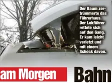  ??  ?? Der Baum zertrümmer­te das Führerhaus. Der Lokführer rettete sich auf den Gang. Er kam leicht verletzt und mit einem Schock davon.