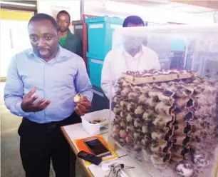  ??  ?? Dr Chrysantus Mbi Tanga explaining how crickets are bred in the laboratory