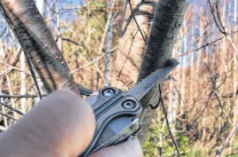  ?? PAUL SMITH ?? This Leatherman Charge is so versatile that Paul Smith used it to cut a Christmas tree.