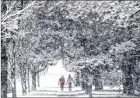  ?? CP PHOTO ?? Pedestrian­s are framed by a canopy of trees as snow falls in Vancouver, B.C., in a 2016 file photo. One of Canada’s most high-profile weather forecaster­s says spring will be a little late this year.