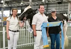  ?? PHOTO: DANNIKA BONSER ?? TOP NOTCH: Rachel Dickson leads a Holstein owned by Justin Johnston and Shorna Ross of Glomar Holsteins.